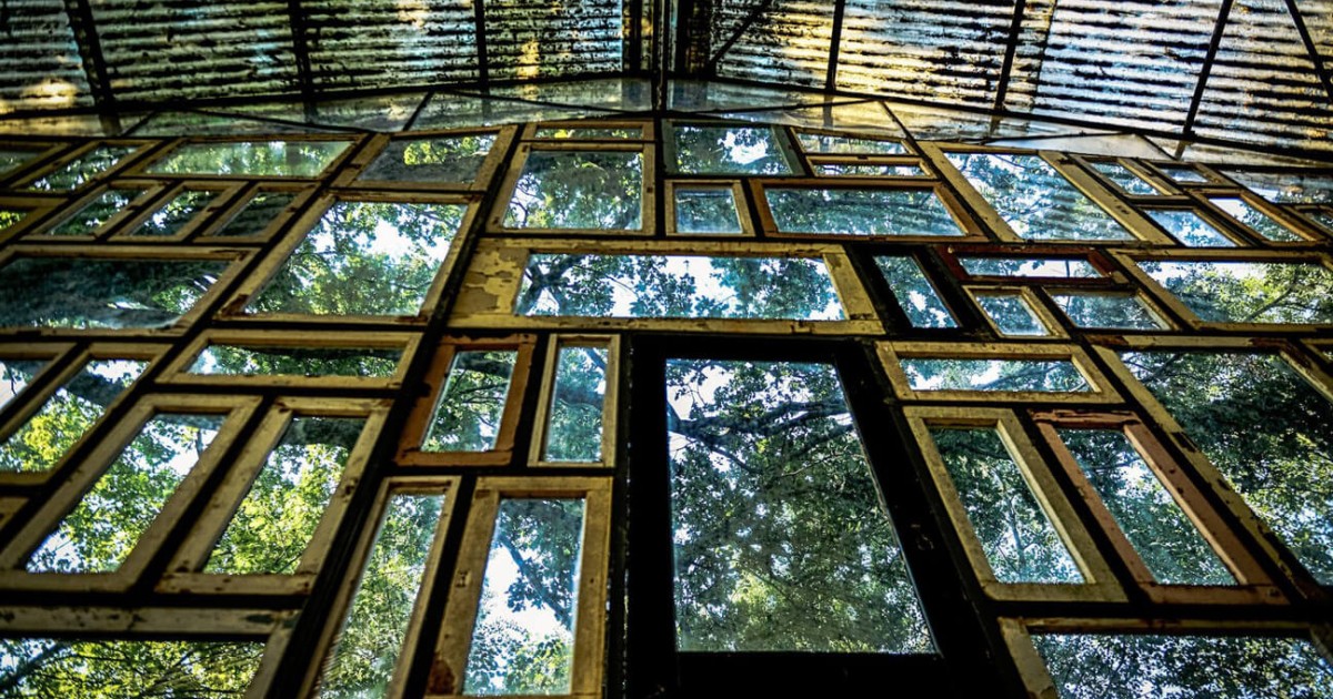 Toegangsprijzen  Verbeke Foundation