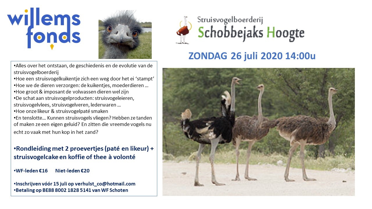 2020-07-26 Struisvogelboerderij.jpg