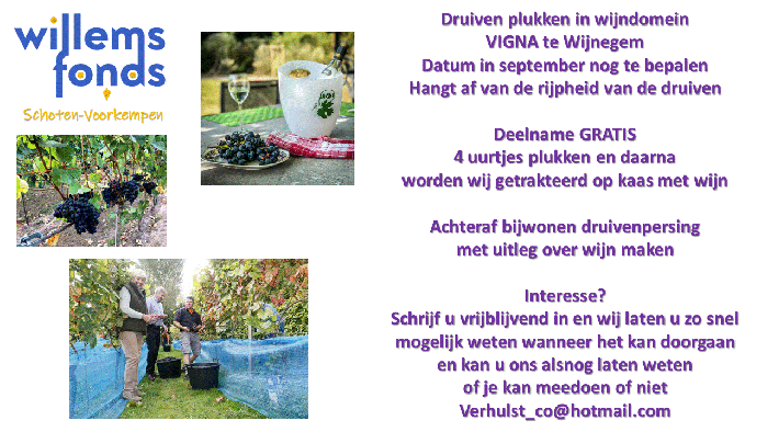 2022-09 Druivenpluk