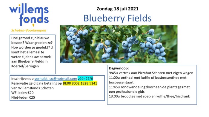 2021-07-18 Blueberry Fields