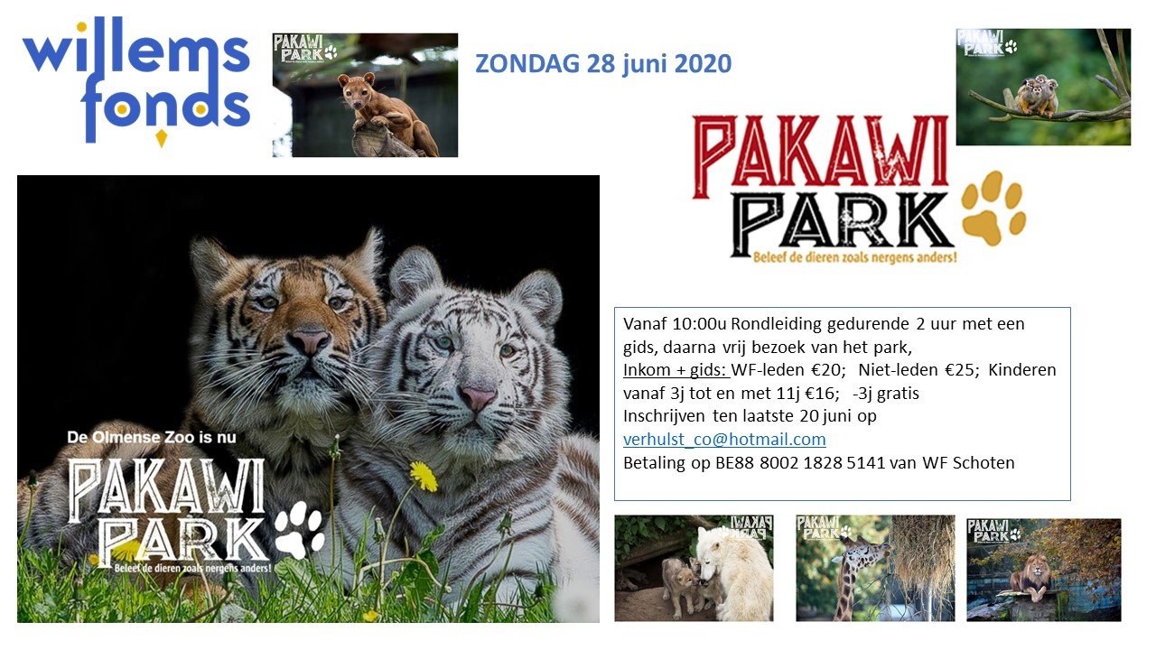 2020-06-28 Pakawi.jpg